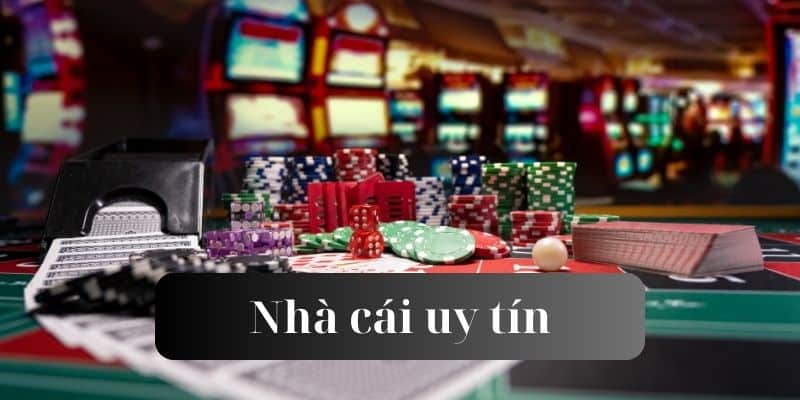đá gà casino xem đá gà trực tiếp casino 🎰 đá gà casino xem đá gà trực tiếp casino 🎰