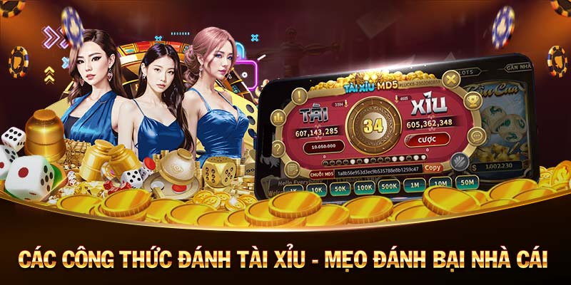 8LIVE-Tải app Android/IOS để trải nghiệm đỉnh cao! 8LIVE-Tải app Android/IOS để trải nghiệm đỉnh cao!